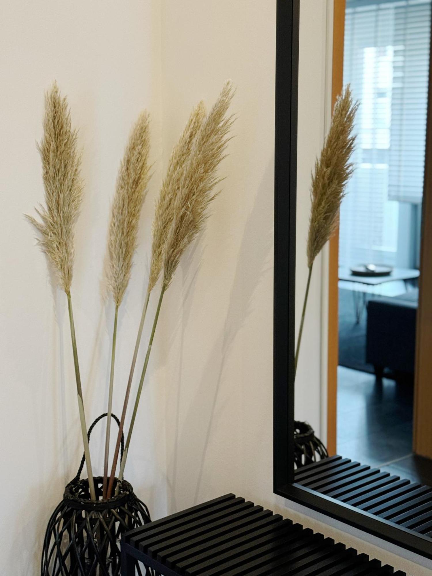 90M2 I Central I Netflix I Wifi I Free Parking I Lia Apartments Hannover Buitenkant foto